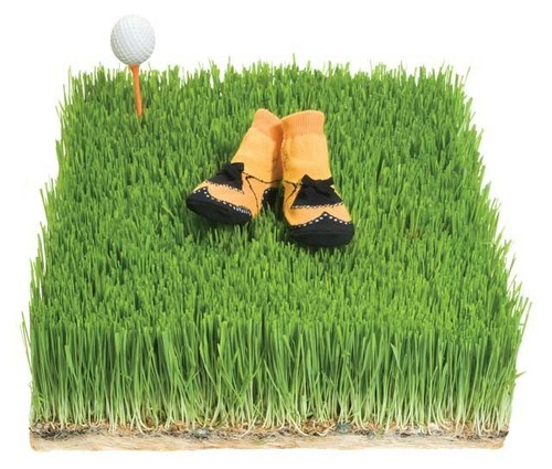 Trumpette johnny plays golf - plays,